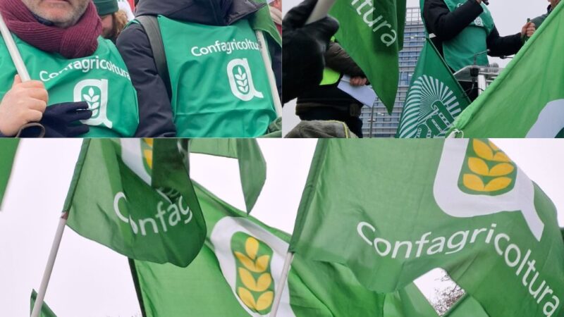 MERCOSUR, CONFAGRICOLTURA: L’EUROPARLAMENTO HA ACCOLTO LE NOSTRE PERPLESSITA’