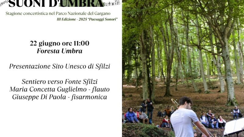 Suoni d’Umbra: l’incanto di Sfilzi tra musica e fotografia nella Foresta Umbra Domenica 22 giugno 2025