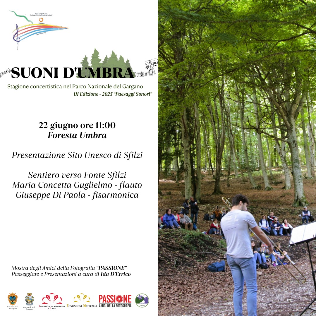 Suoni d’Umbra: l’incanto di Sfilzi tra musica e fotografia nella Foresta Umbra Domenica 22 giugno 2025