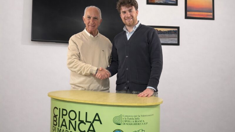 Puglia, Cipolla Bianca di Margherita Igp: Giuseppe Giacomantonio è il nuovo presidente del Consorzio