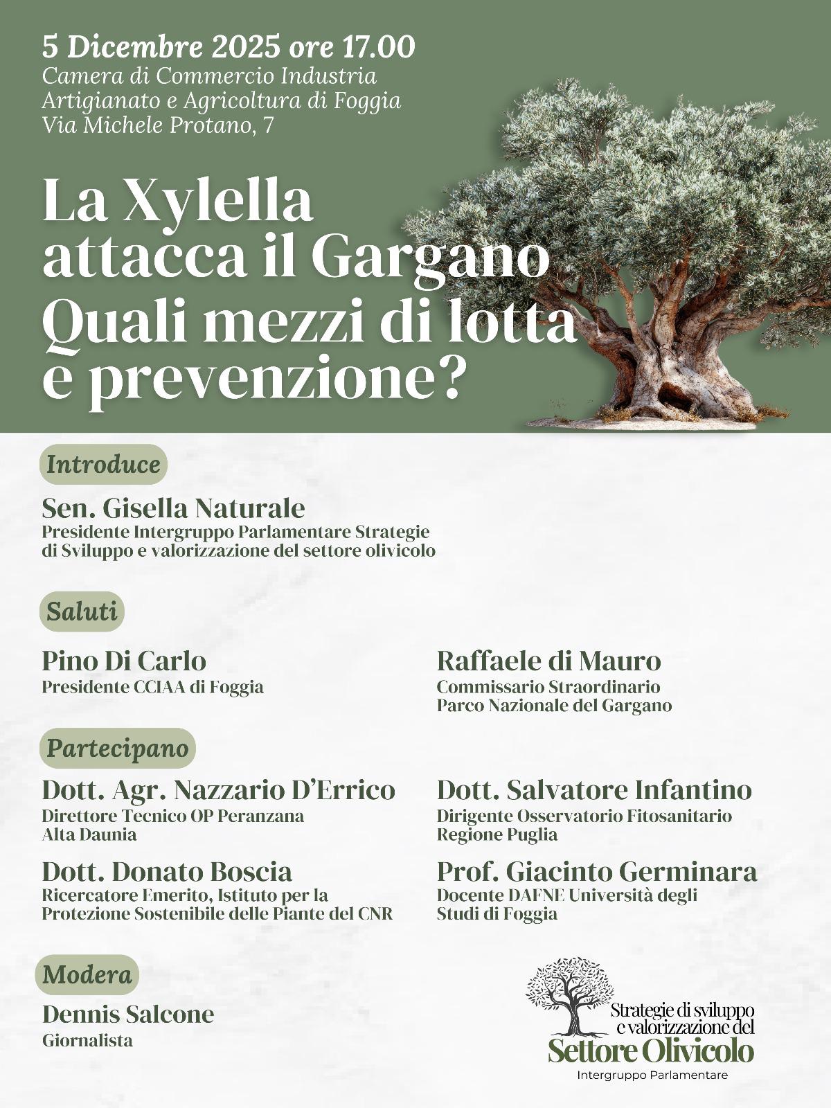 XYLELLA SUL GARGANO:IL 5 DICEMBRE 2025 CONVEGNO A FOGGIA PROMOSSO DALLA SENATRICE GISELLA NATURALE ALLE 17 PRESSO LA CAMERA DI COMMERCIO