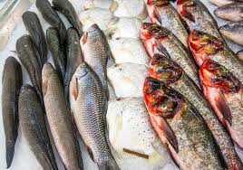 CALDO: AUMENTA CONSUMO PESCE +15%; AFFIDATO A PESCATORI RUOLO SALVA MARE, MA CRESCE IMPORT DALL’ESTERO