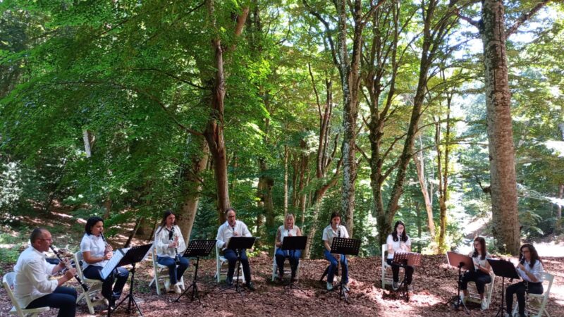 Suoni d’Umbra, godersi le tarantelle immersi nella natura. Sabato 29 giugno 2024 secondo appuntamento in Foresta Umbra alle 11.30