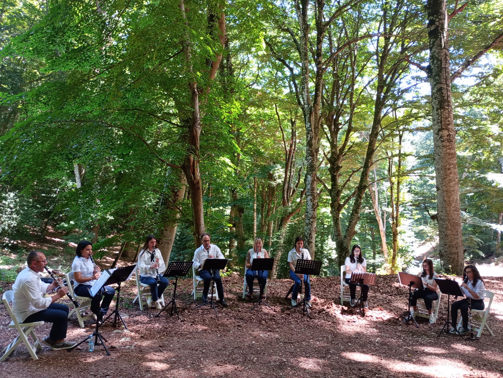 Suoni d’Umbra, godersi le tarantelle immersi nella natura. Sabato 29 giugno 2024 secondo appuntamento in Foresta Umbra alle 11.30