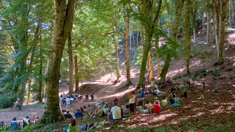 Ultimi due concerti di Suoni d’Umbra: 13 e 14 luglio 2024 grandi artisti nel Parco Nazionale del Gargano