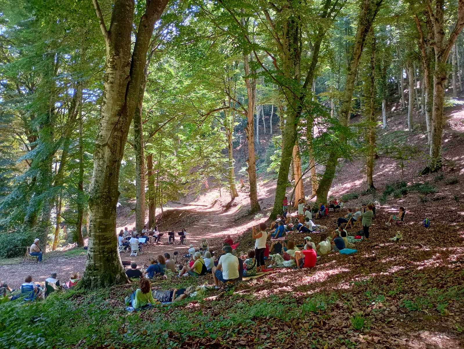 Ultimi due concerti di Suoni d’Umbra: 13 e 14 luglio 2024 grandi artisti nel Parco Nazionale del Gargano