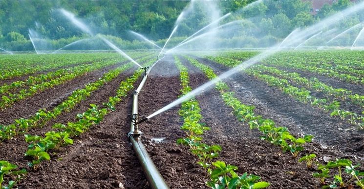 Confagricoltura Foggia: anticipata l’erogazione dell’acqua per gli orticoltori della Capitanata, il Consorzio ci ha ascoltati