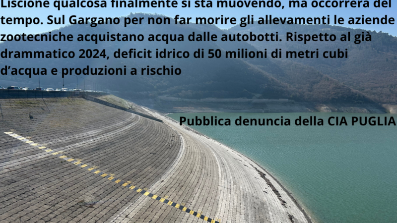 Acqua e dighe, progetti sepolti. Cia Capitanata: Cent’anni di inettitudine