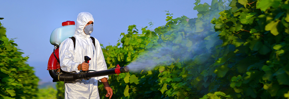 AGRICOLTURA: LA RIFORMA DEL SERVIZIO FITOSANITARIO È LEGGE