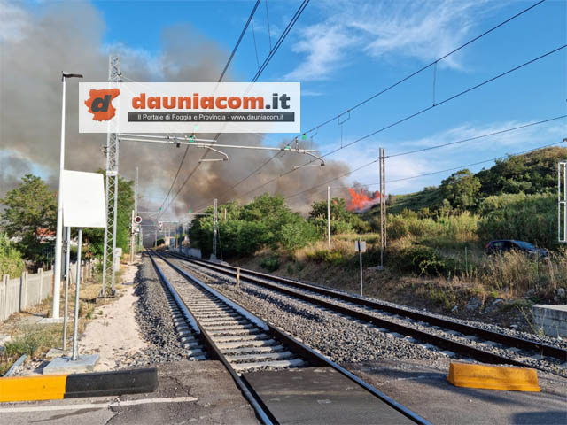 Domenica rovente a Campomarino Lido: ecco le immagini drammatiche dell’ennesimo incendio ed il video con i Canadair in azione