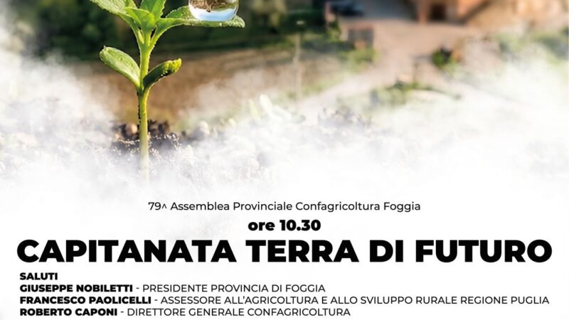 Schiavone: misure urgenti di sostegno per l’olivicoltura, venerdì 12 giugno 2026 Assemblea provinciale di Confagricoltura a Palazzo Dogana