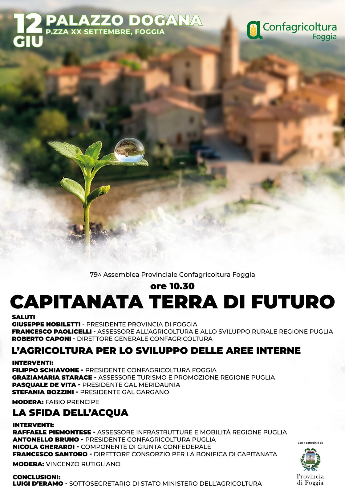 Schiavone: misure urgenti di sostegno per l’olivicoltura, venerdì 12 giugno 2026 Assemblea provinciale di Confagricoltura a Palazzo Dogana