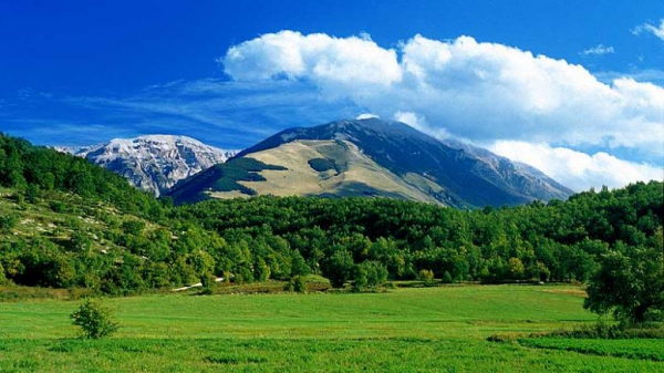 Istat: in Abruzzo nel terzo trimestre 2024 occupazione in crescita del 4,5%, seconda regione in Italia per incremento