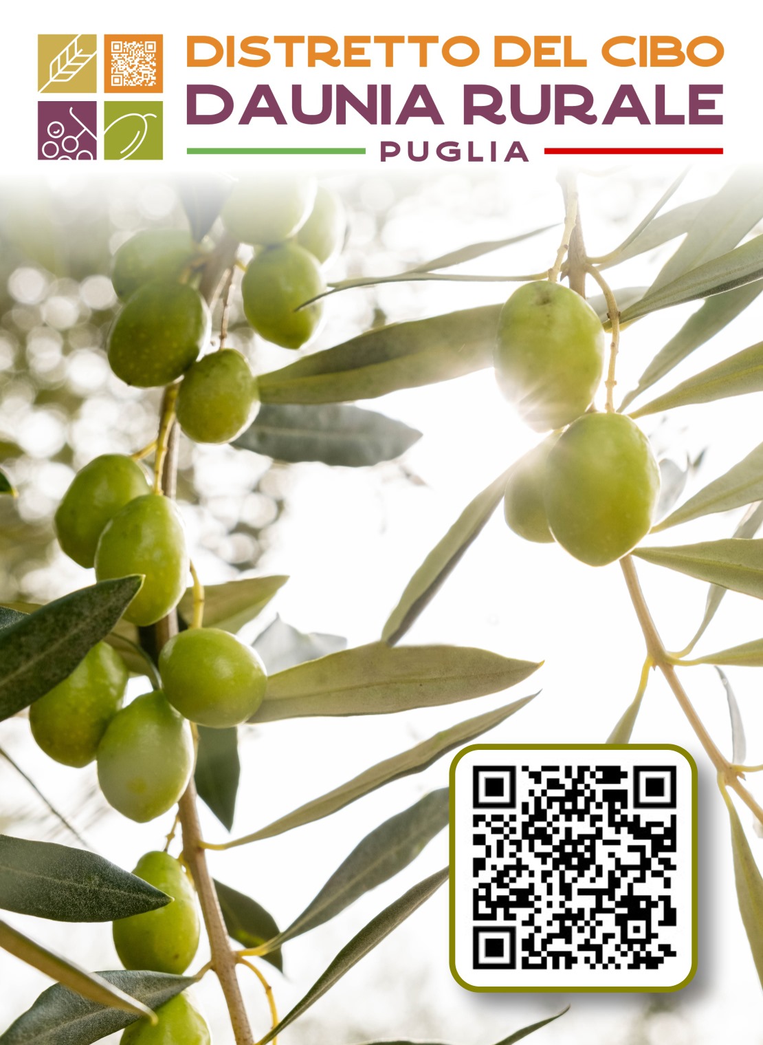 Peranzana, Provenzale e Leccino dell’Alto Tavoliere a Trieste per Olio Capitale