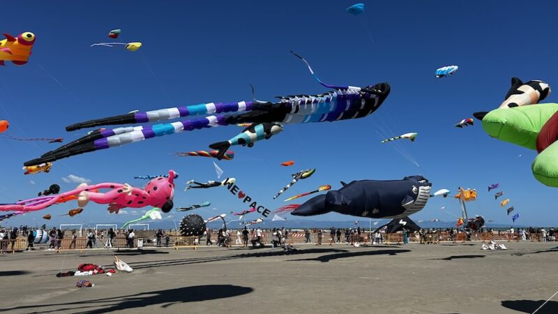 Parte da Margherita di Savoia un messaggio di pace nel mondo durante il Festival internazionale dell’aquilone, centinaia di palloncini bianchi sono stati lanciati in cielo da bambini