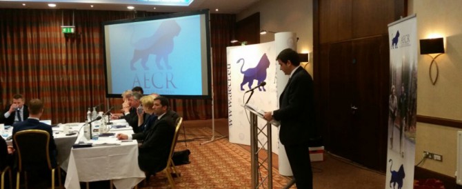 Raffaele Fitto: Conservatori Uk modello vincente, in Italia inizia cammino per sfidare la sinistra.