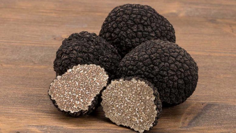Fiera internazionale dei tartufi d’Abruzzo:  L’Aquila per tre giorni capitale del gusto e delle eccellenze dal 29 novembre al 1 dicembre 2024