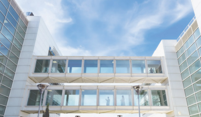 Il corso Management del sanguinamento critico: shock emorragico e coagulopatia si terrà presso l’UniFg il 3 e 4 giugno 2024